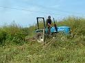 Picture 007